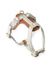 Premium Leather Cat Leash