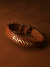 Track Genuine Leather Cat Collar Brown
