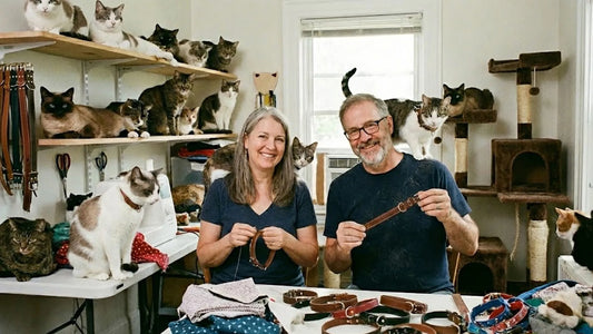 From Clicks to Kibble: How Your Purchase Feeds Stray Cats via Remote Technology