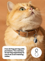 Track Leather Cat Collar BLACK