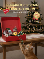 Christmas Cat Gift Box