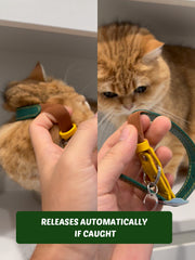 Leather Cat Collar Brown