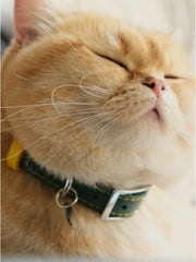 Breakaway Leather Cat Collar YELLOW