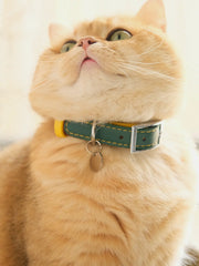 Breakaway Leather Cat Collar YELLOW