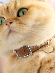 Breakaway Leather Cat Collar YELLOW