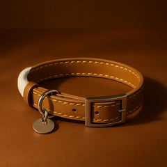 Breakaway Leather Cat Collar YELLOW