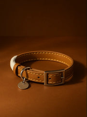 Breakaway Leather Cat Collar YELLOW